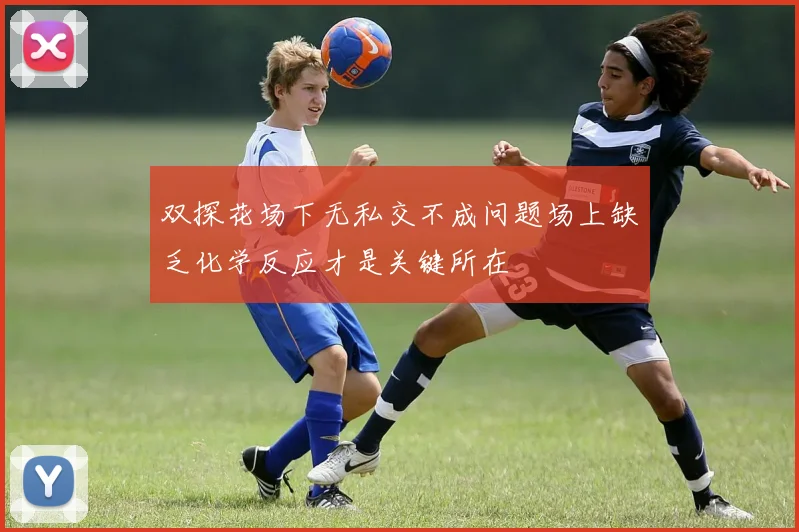 双探花场下无私交不成问题场上缺乏化学反应才是关键所在